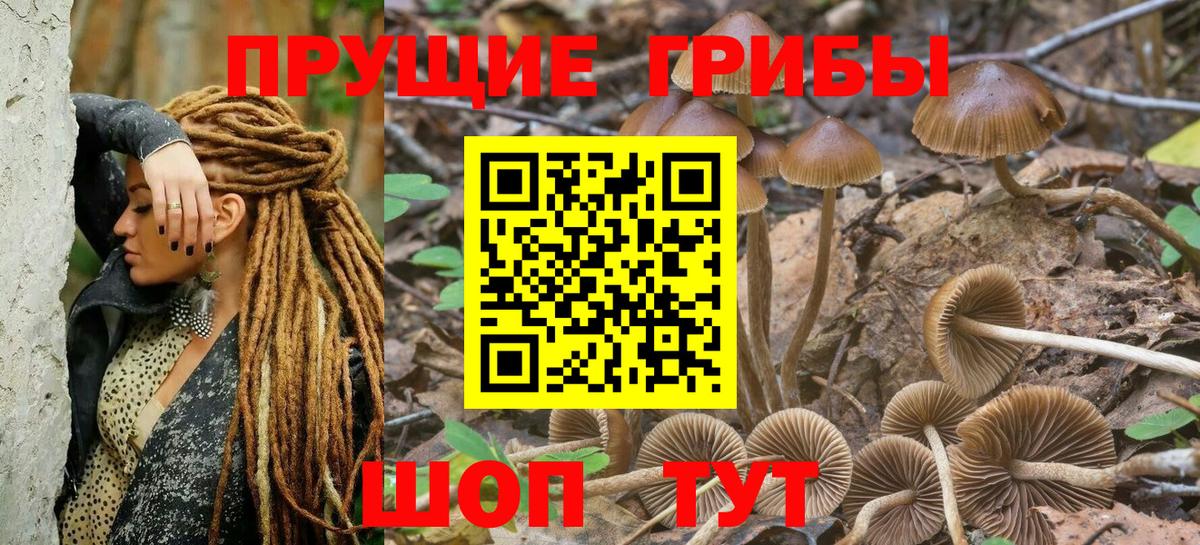 Нерюнгри  Псилоцибиновые грибы ЛСД  Вход с VPN 