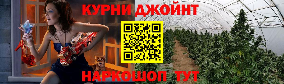 Бошки Шишки MAZAR Нерюнгри